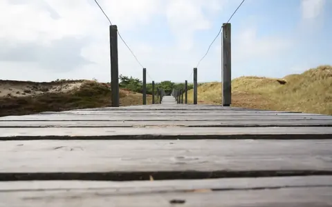 Startseite von Haus Tanja Amrum